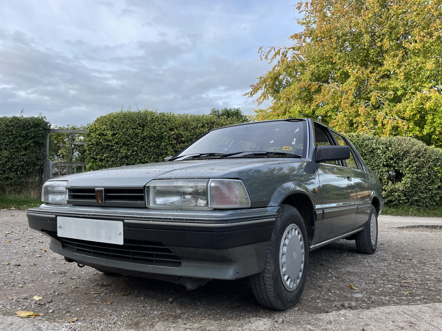 Rover 213 SE