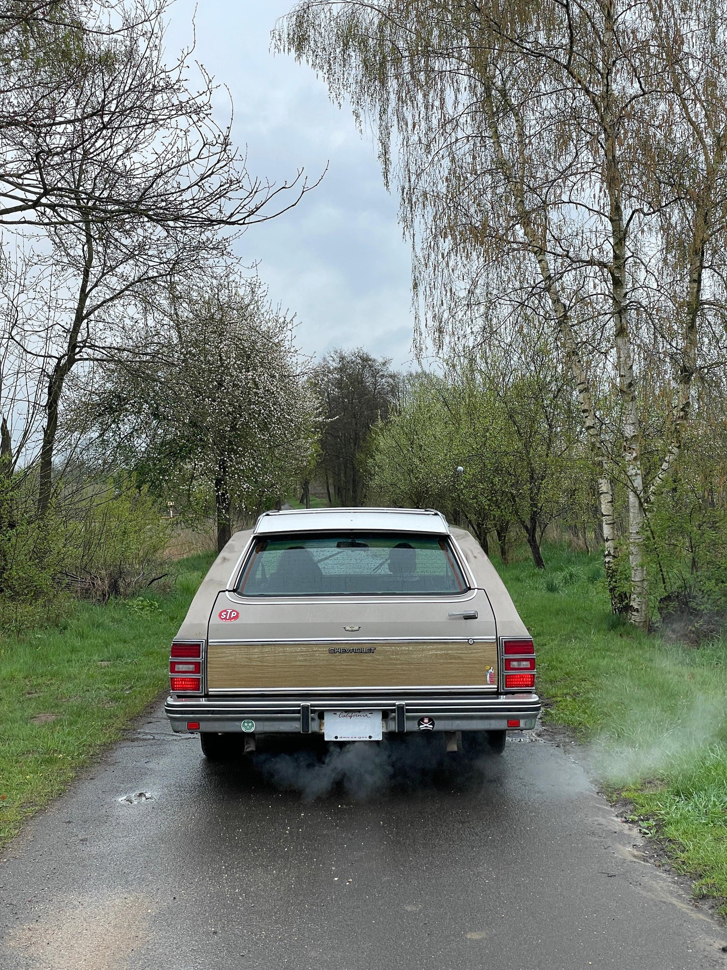 Chevrolet Caprice Station Wagon