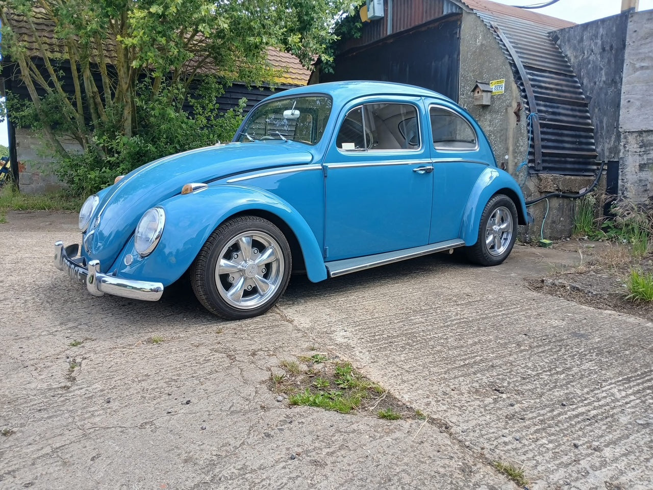 Volkswagen Beetle